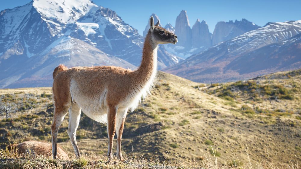 Chile se v říjnu otevře turistům. Očkování je ale před karanténou nezachrání